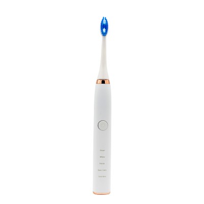 Factory direct supply electric smart toothbrush with cheap price